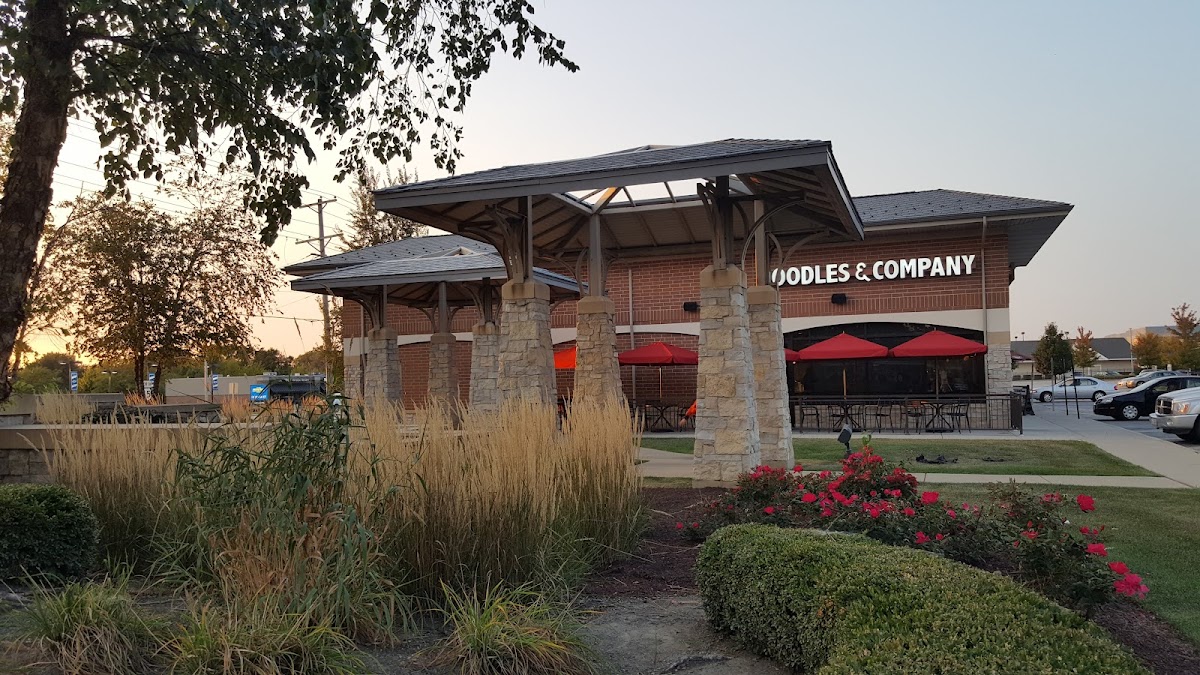 Noodles And Company Frankfort